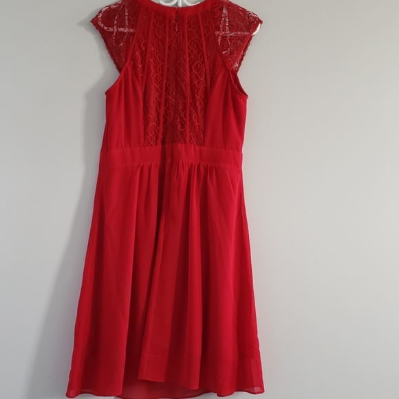 City Chic Ruby Lace Dress - Picture 6 of 6